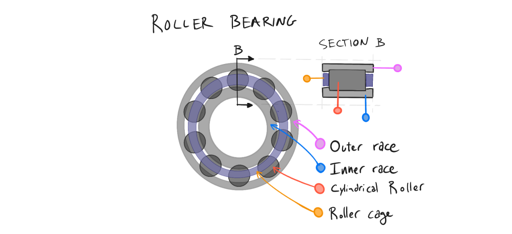 Architecture and section view of a roller bearing