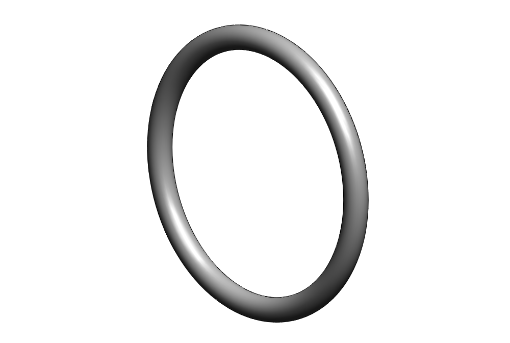O-ring isometric view