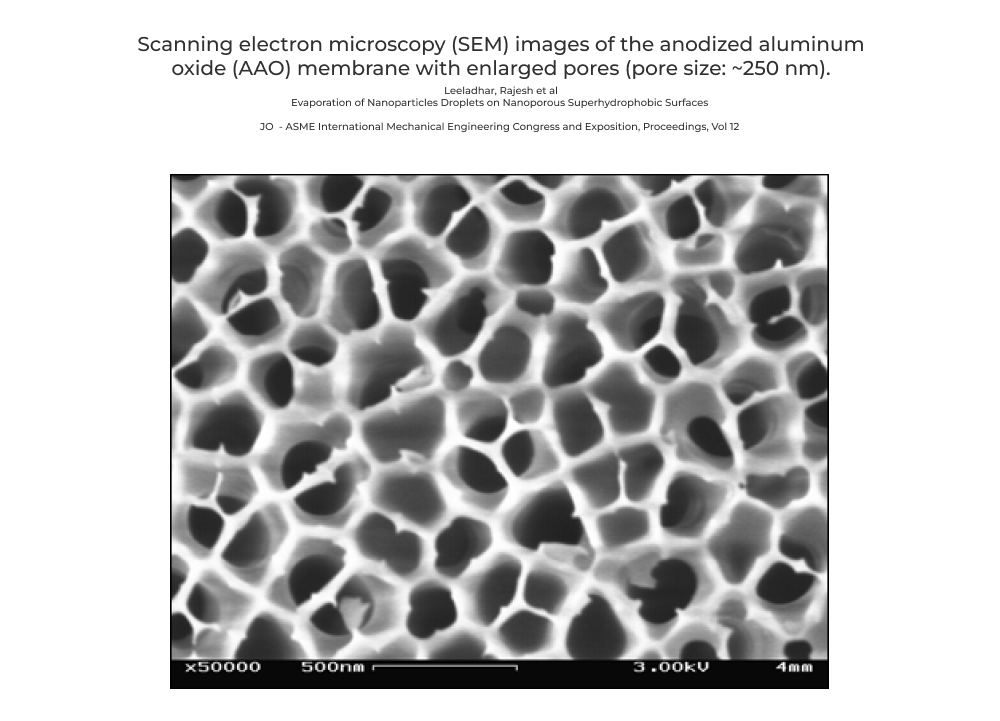 Scanning electron microscopy of anodized aluminum oxide structure